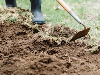 Land Clearing